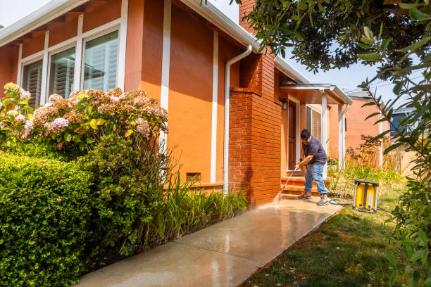 Best Fence Pressure Washing  in Bellevle, IL