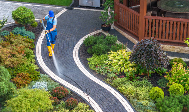 Best Pressure Washing Siding  in Bellevle, IL